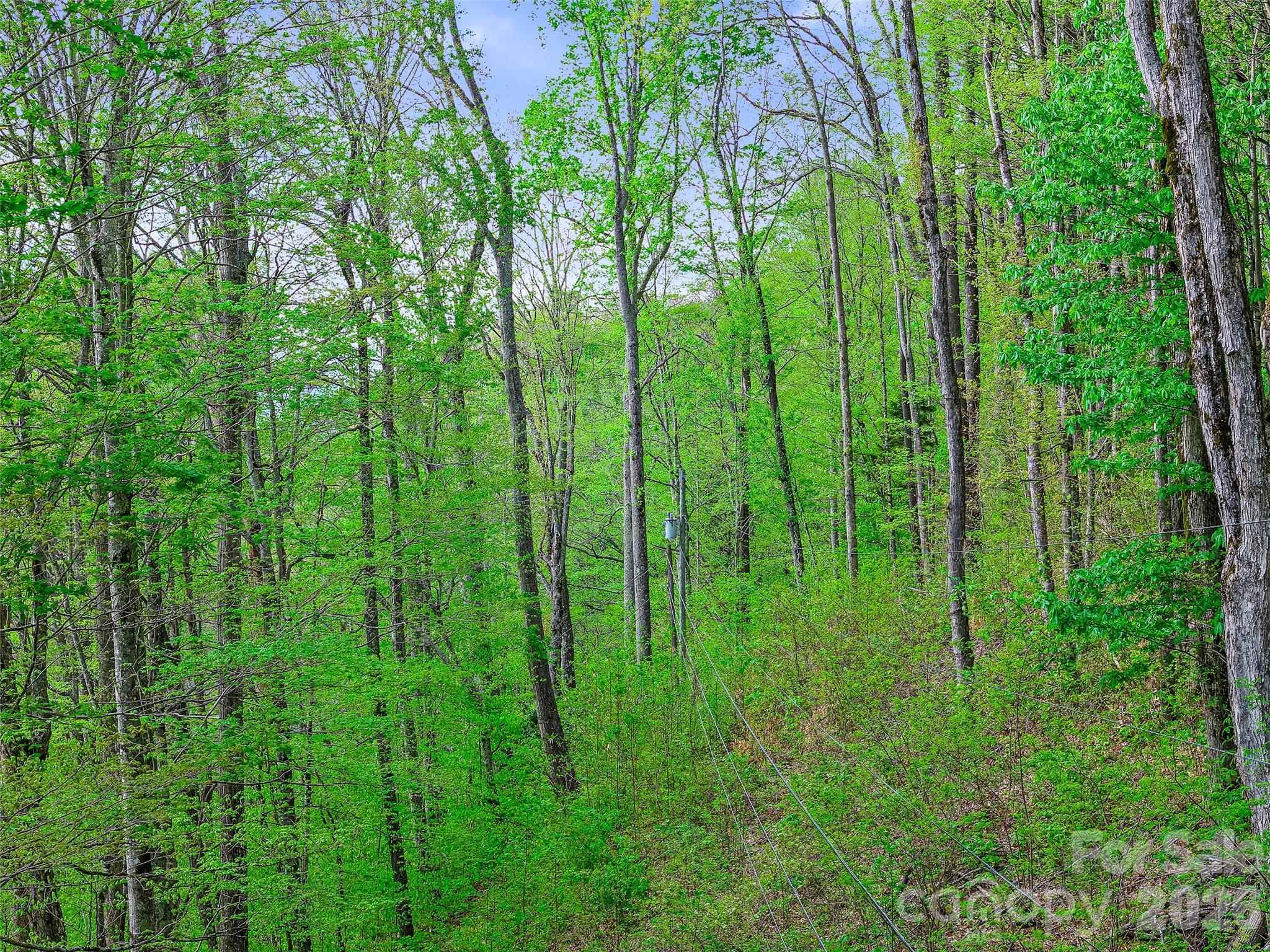 1161 Deep Gap Road Burnsville, NC 28714 - Photo 12 of 14