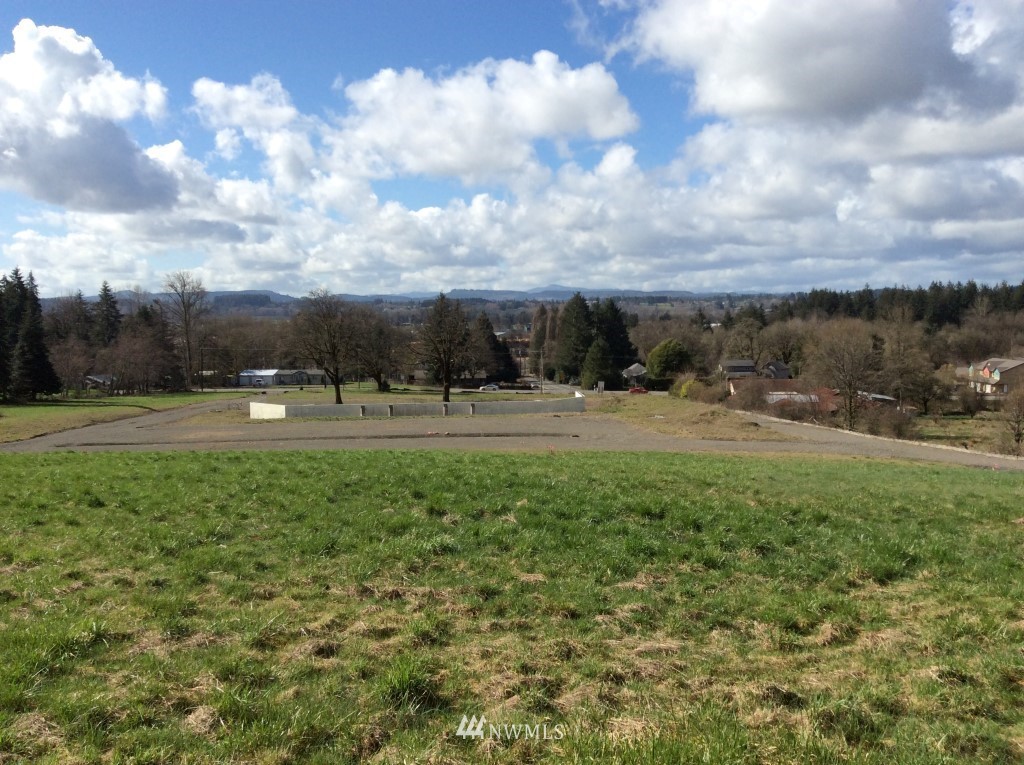 127-31 Kennicott Road Chehalis, WA 98532 - Photo 1 of 5 a view of a green field