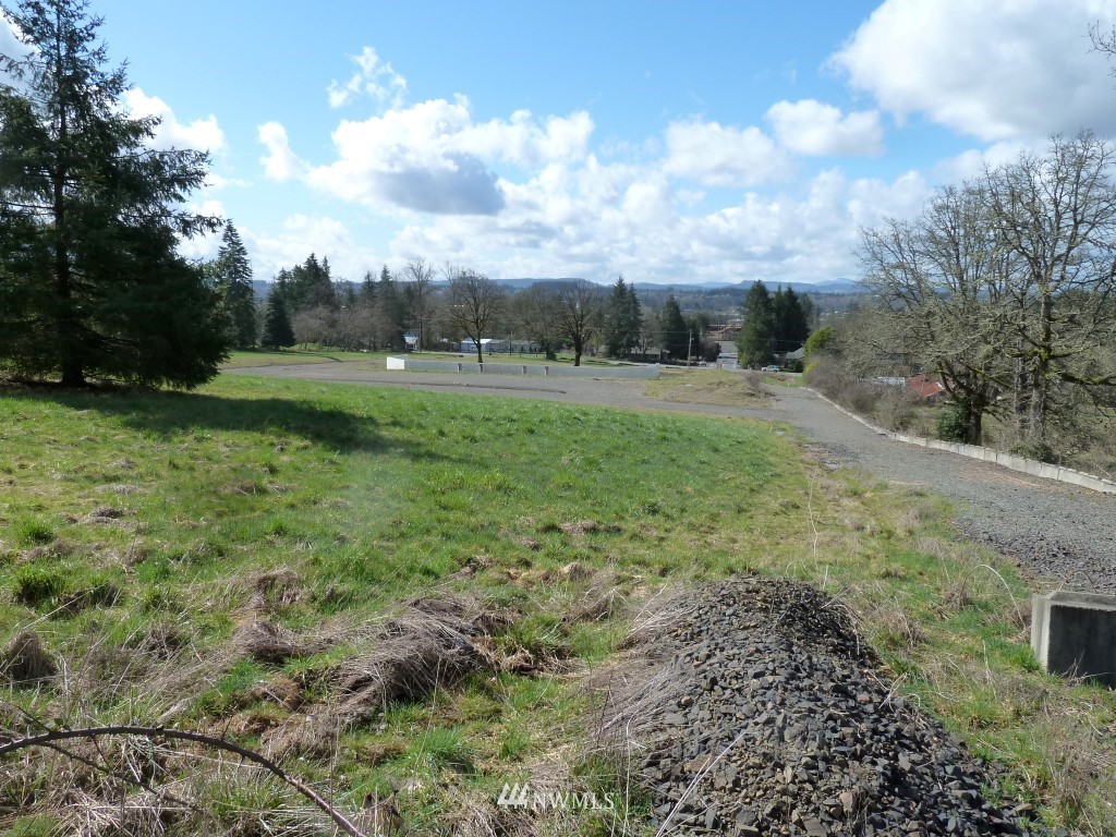 127-31 Kennicott Road Chehalis, WA 98532 - Photo 4 of 5 a view of a green field