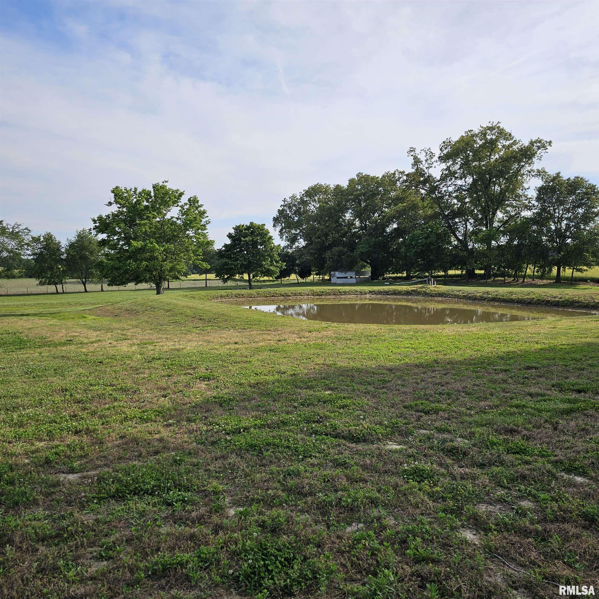 2895 Brown Road Galatia, IL 62935 - Photo 11 of 39 Gallery Image 11