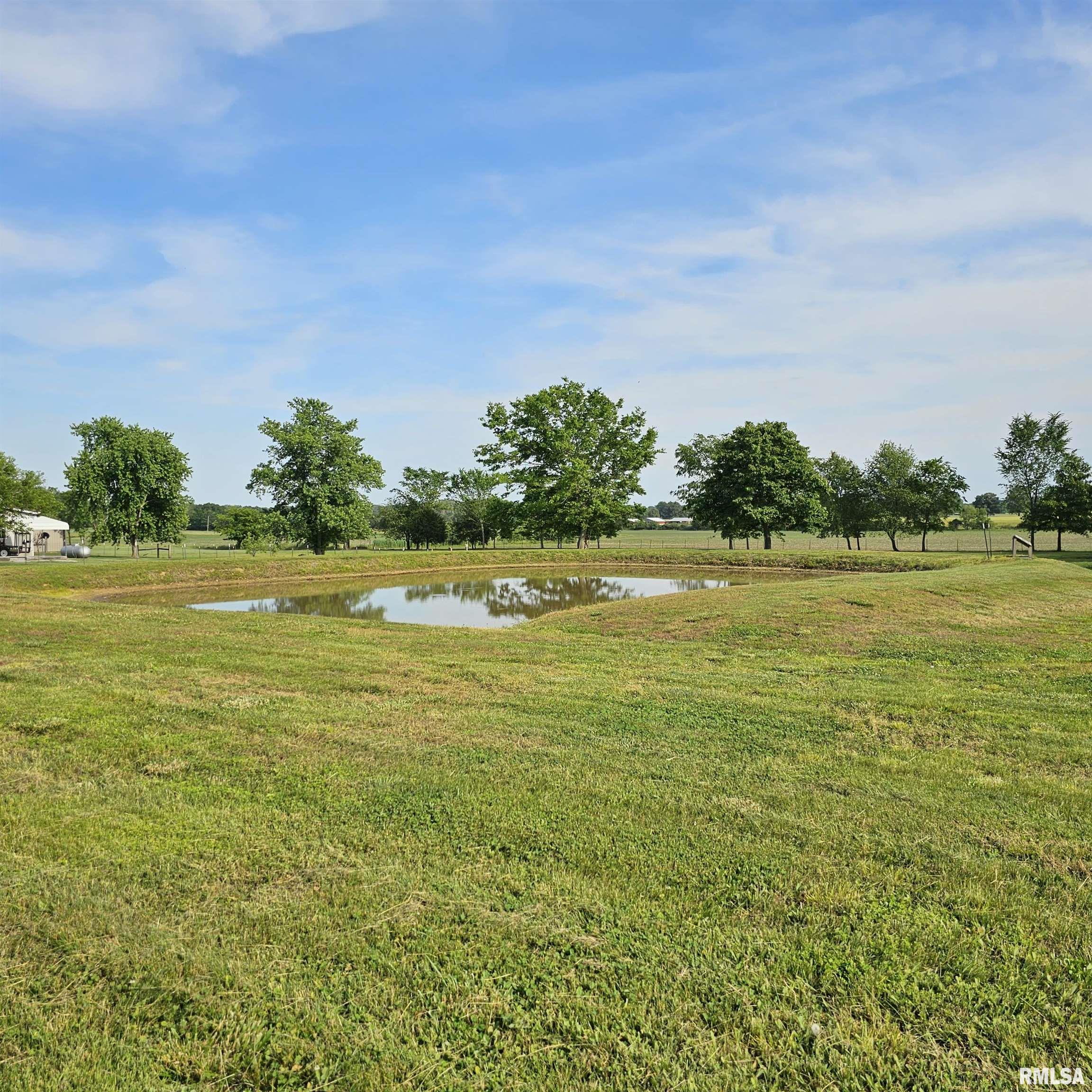 2895 Brown Road Galatia, IL 62935 - Photo 10 of 39 Gallery Image 10