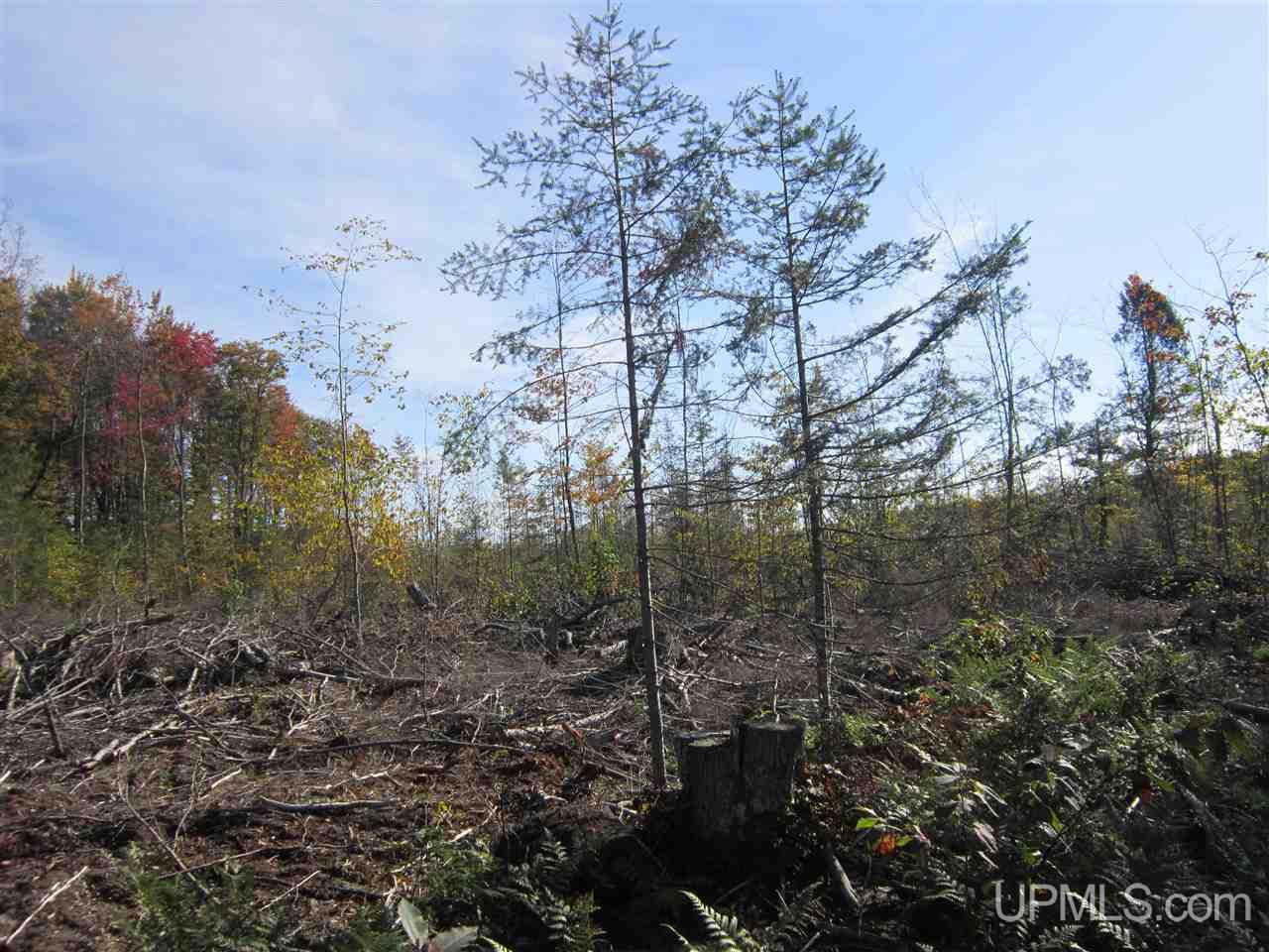 N2003 Sturgeon River Road Munising, MI 49862 - Photo 30 of 36