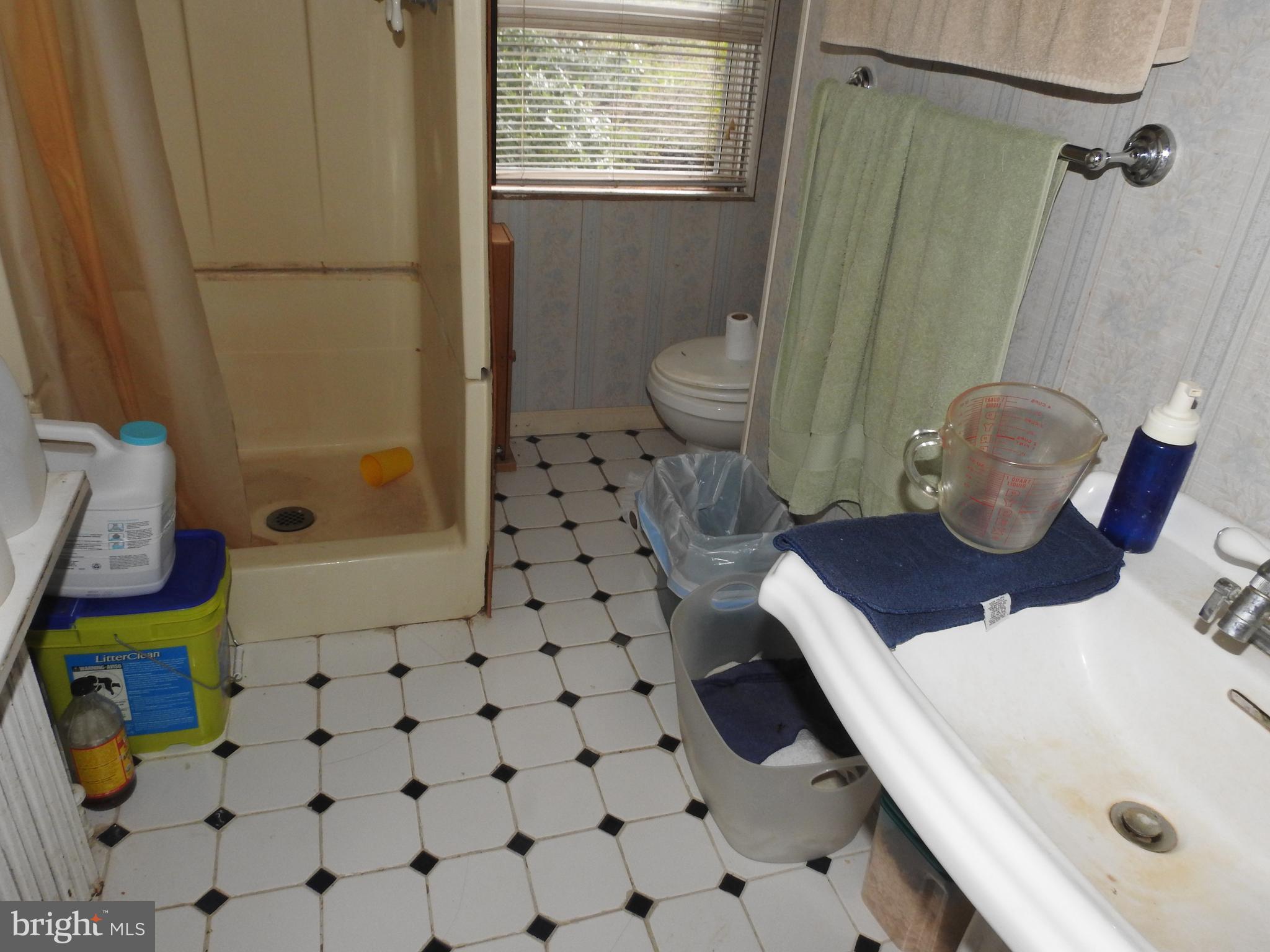 17101 Croom Road Brandywine, MD 20613 - Photo 4 of 23 Bath MAIN HOUSE