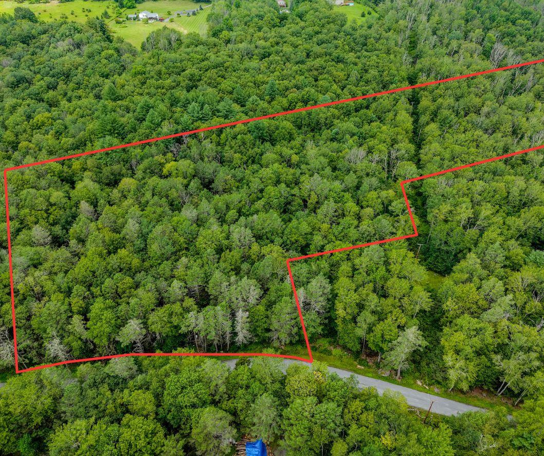 Leins Road Woodbourne, NY 12733 - Photo 1 of 9 a view of a lush green forest with lots of trees