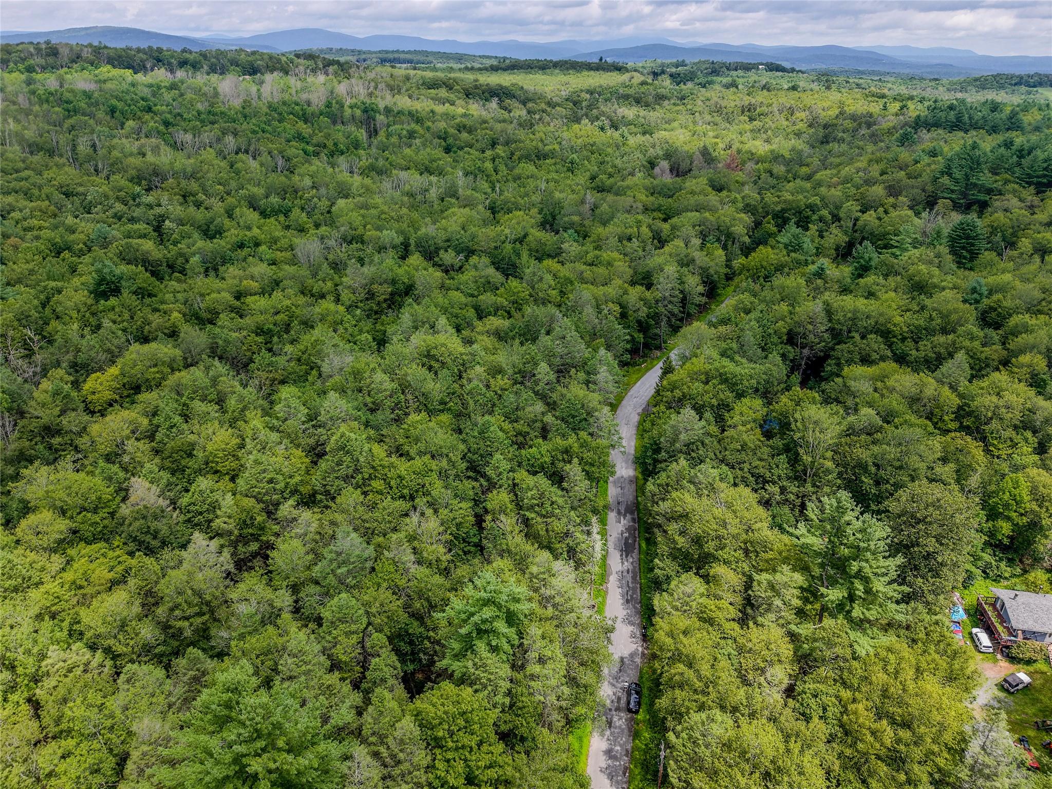 Leins Road Woodbourne, NY 12733 - Photo 2 of 9 a view of a lush green forest with lots of trees