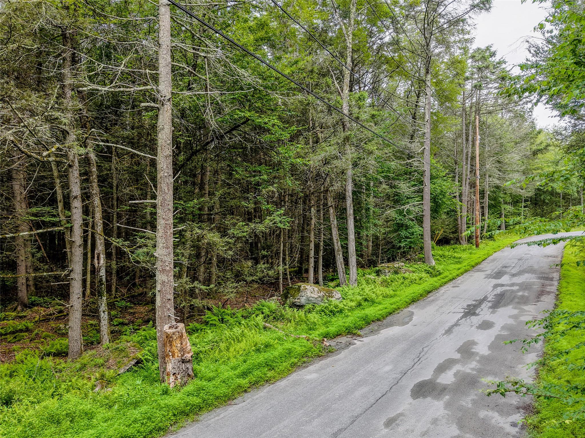 Leins Road Woodbourne, NY 12733 - Photo 3 of 9 a view of a pathway both side of street and green space