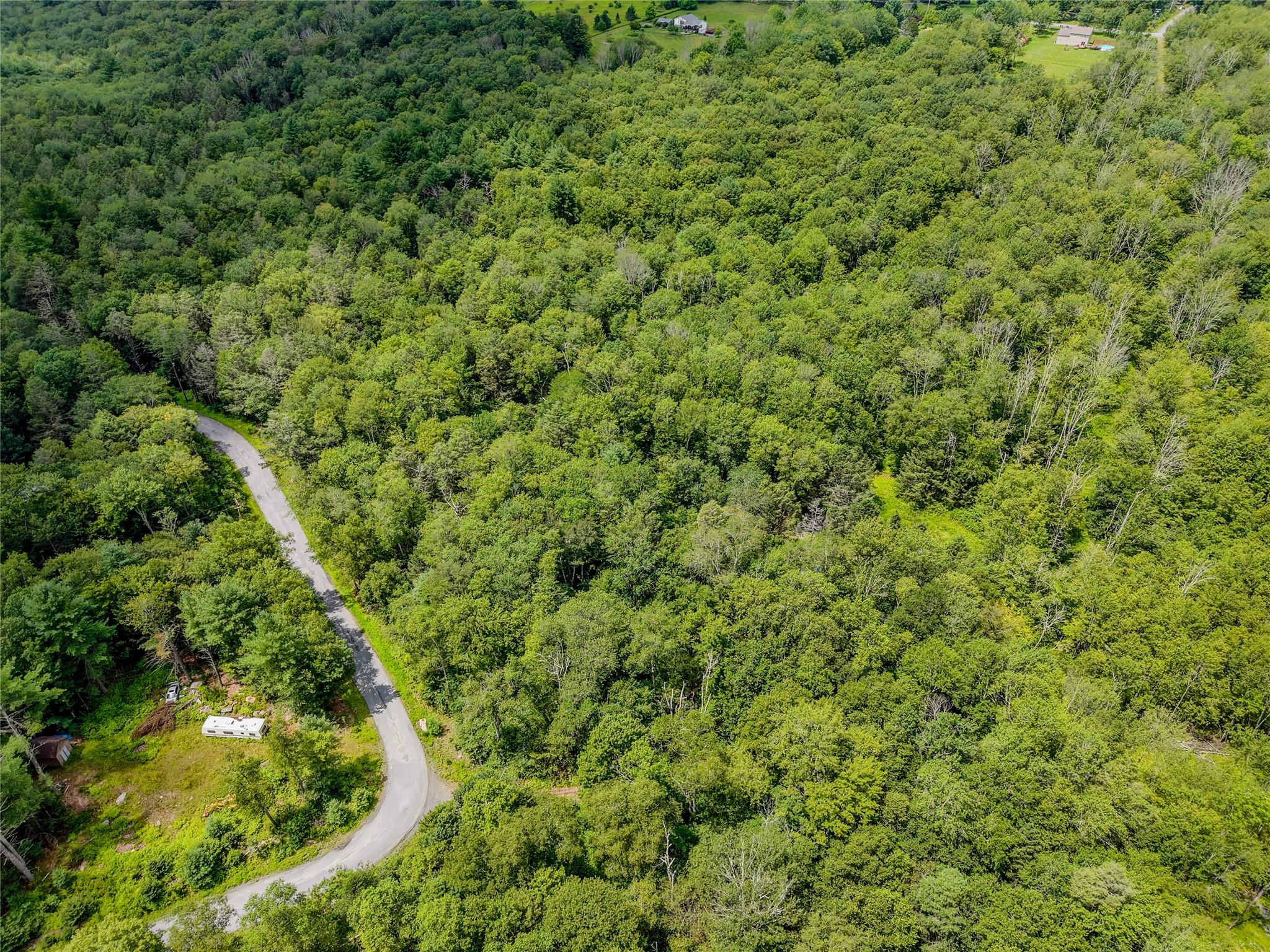 Leins Road Woodbourne, NY 12733 - Photo 4 of 9 a view of a big yard with plants and large trees