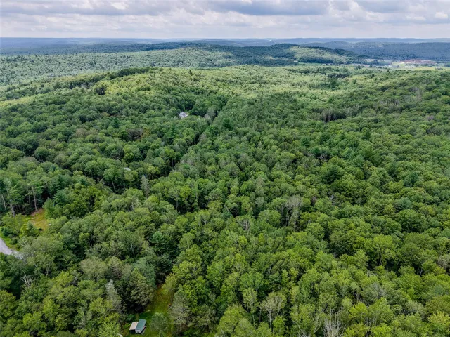 a view of a green field with lots of bushes