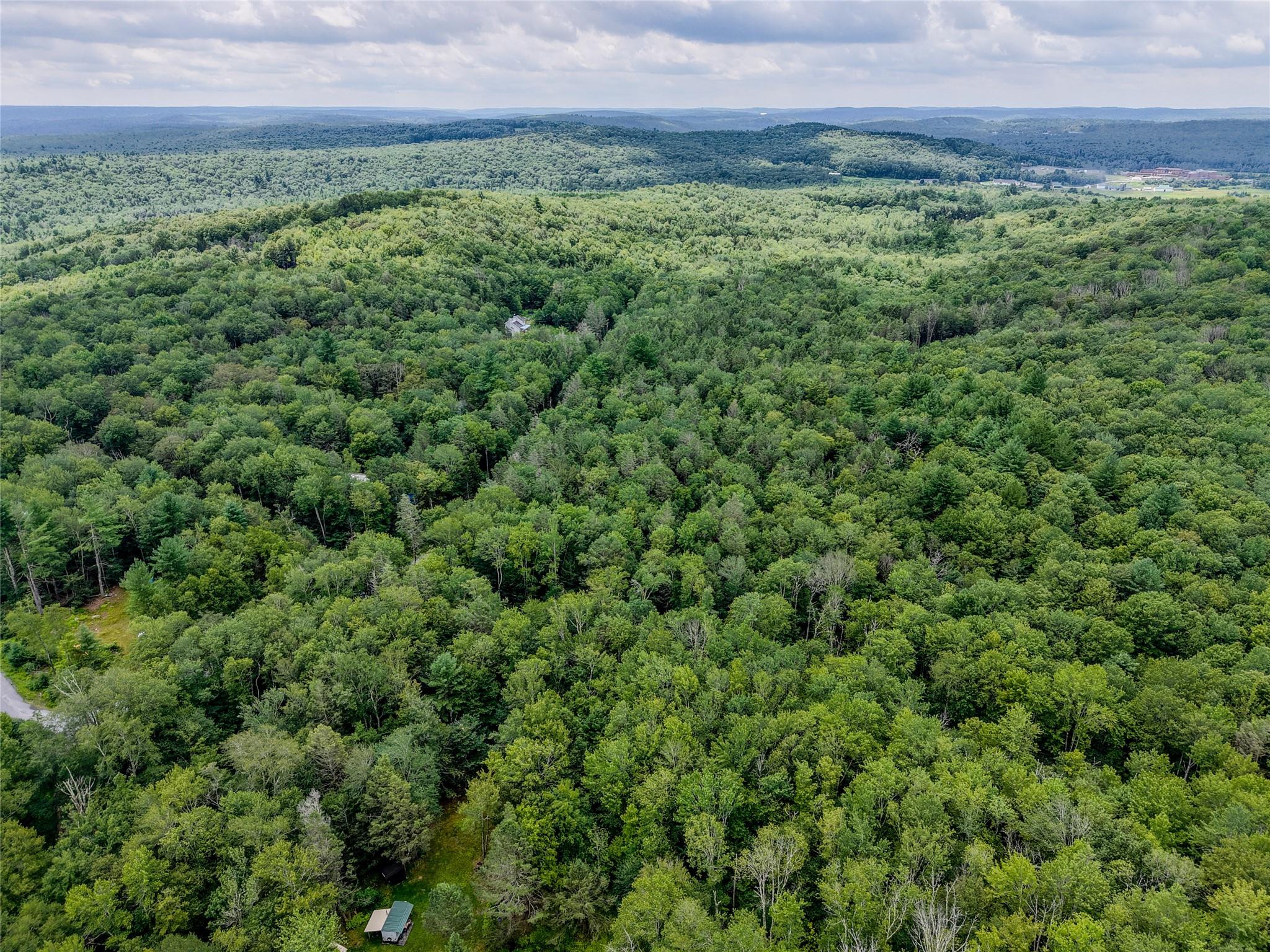 Leins Road Woodbourne, NY 12733 - Photo 5 of 9 a view of a green field with lots of bushes