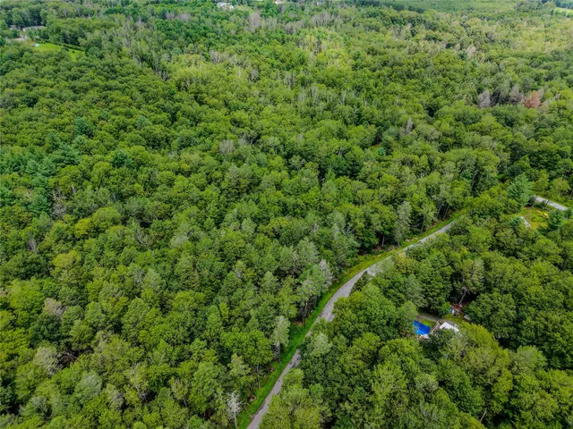 a view of a lush green forest with lots of trees