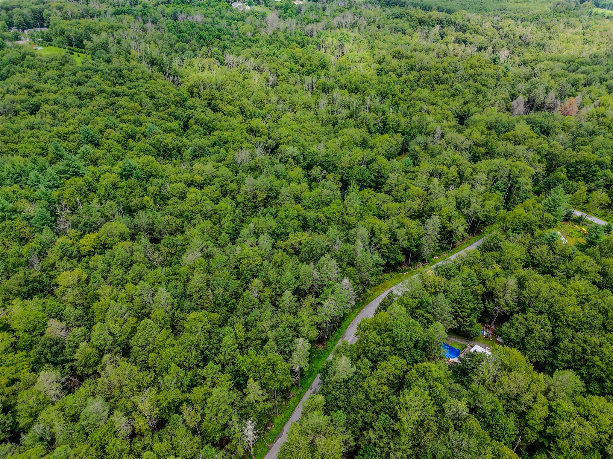 Leins Road Woodbourne, NY 12733 - Photo 6 of 9 a view of a lush green forest with lots of trees