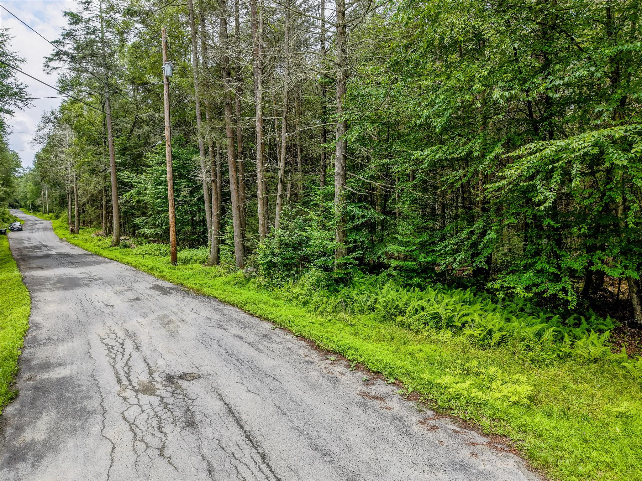 Leins Road Woodbourne, NY 12733 - Photo 7 of 9 a view of a backyard with plants