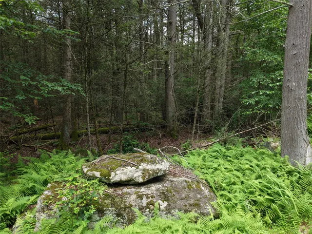 a view of a sink in a backyard