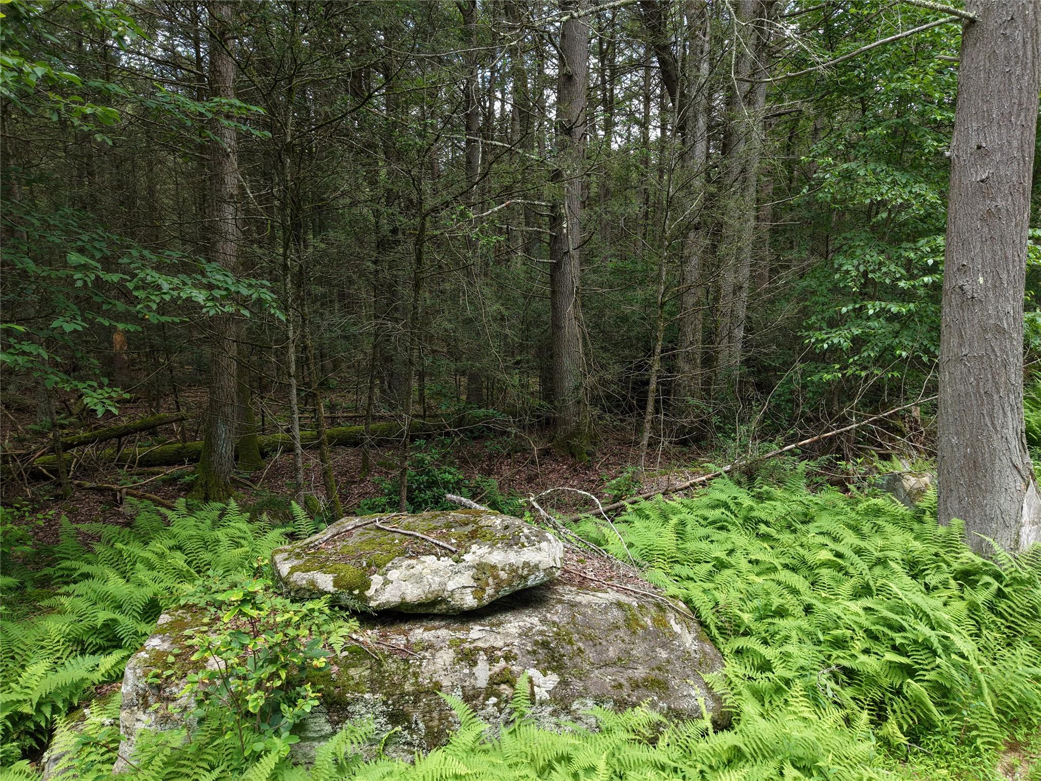 Leins Road Woodbourne, NY 12733 - Photo 9 of 9 a view of a sink in a backyard