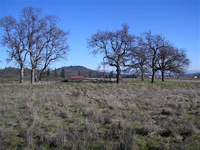 0 Shiloh Road White City, OR 97503 - Photo 1 of 4 Primary Photo