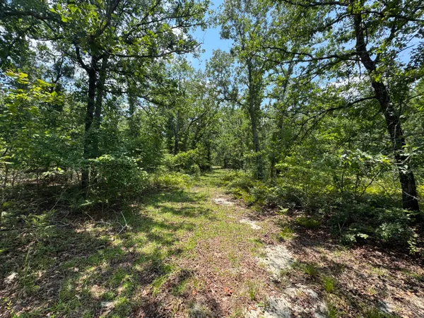 $218,999 | 174 Hard Luck Lane, Windsor, SC 29856