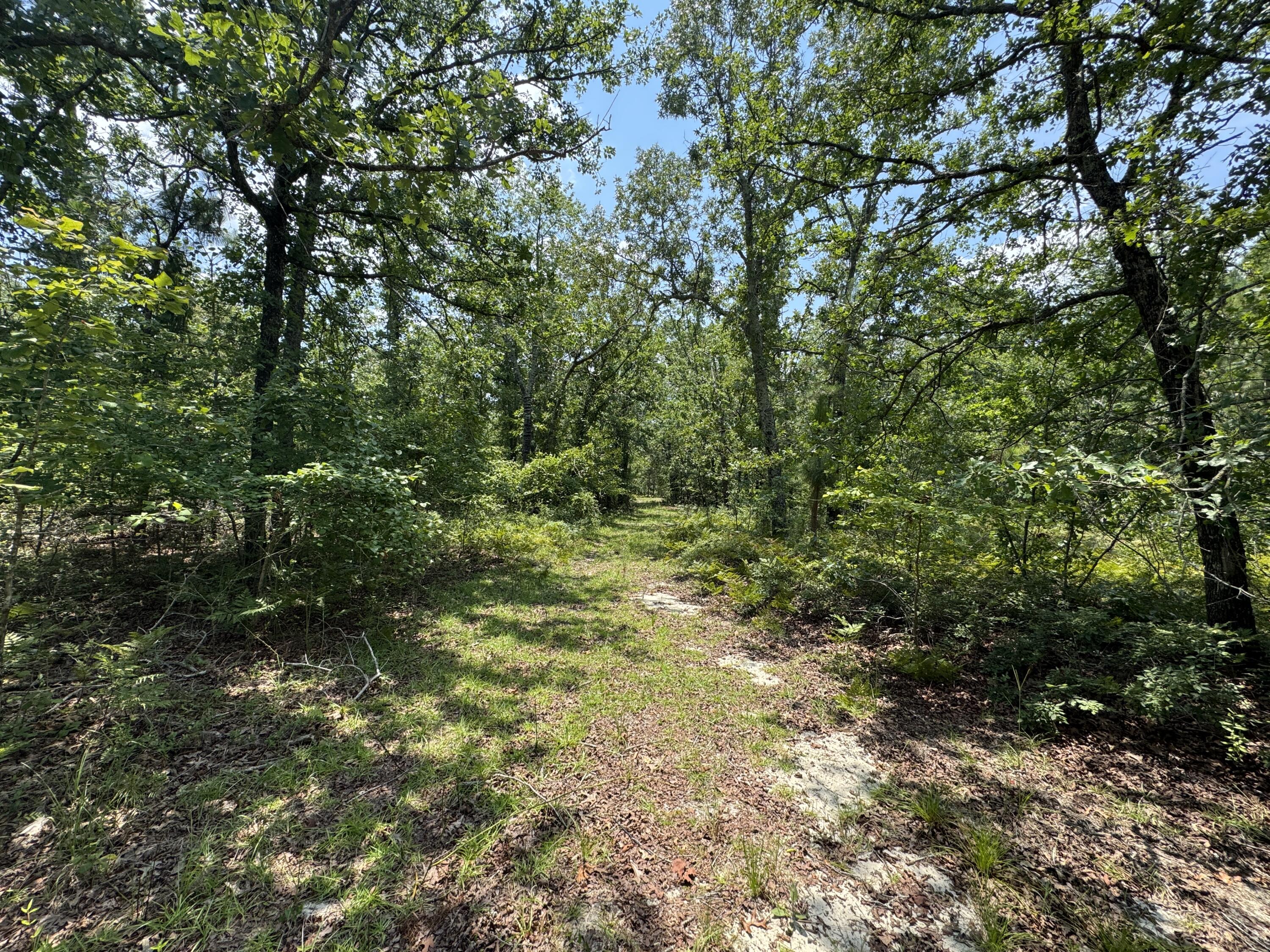 174 Hard Luck Lane Windsor, SC 29856 - Photo 1 of 27