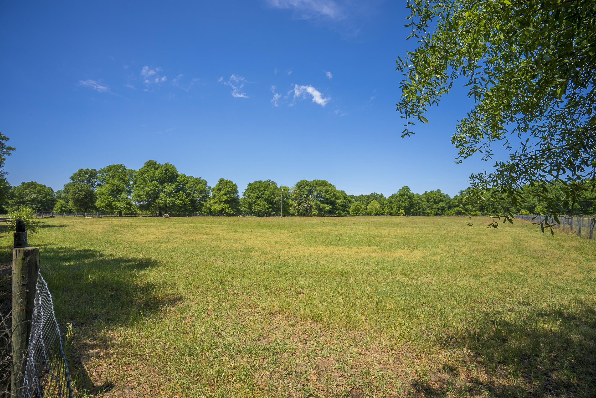 246 Stonemint Drive Springfield, SC 29146 - Photo 15 of 45