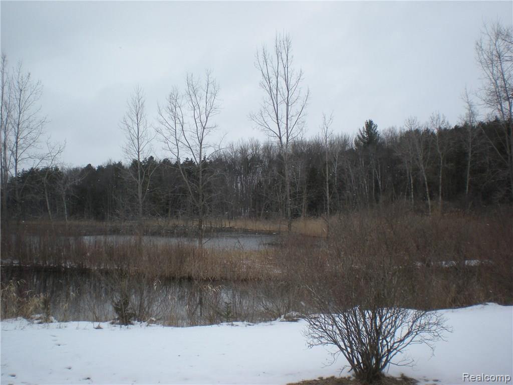 3163 W Road Metamora, MI 48455 - Photo 12 of 13 DSCN1787.JPG