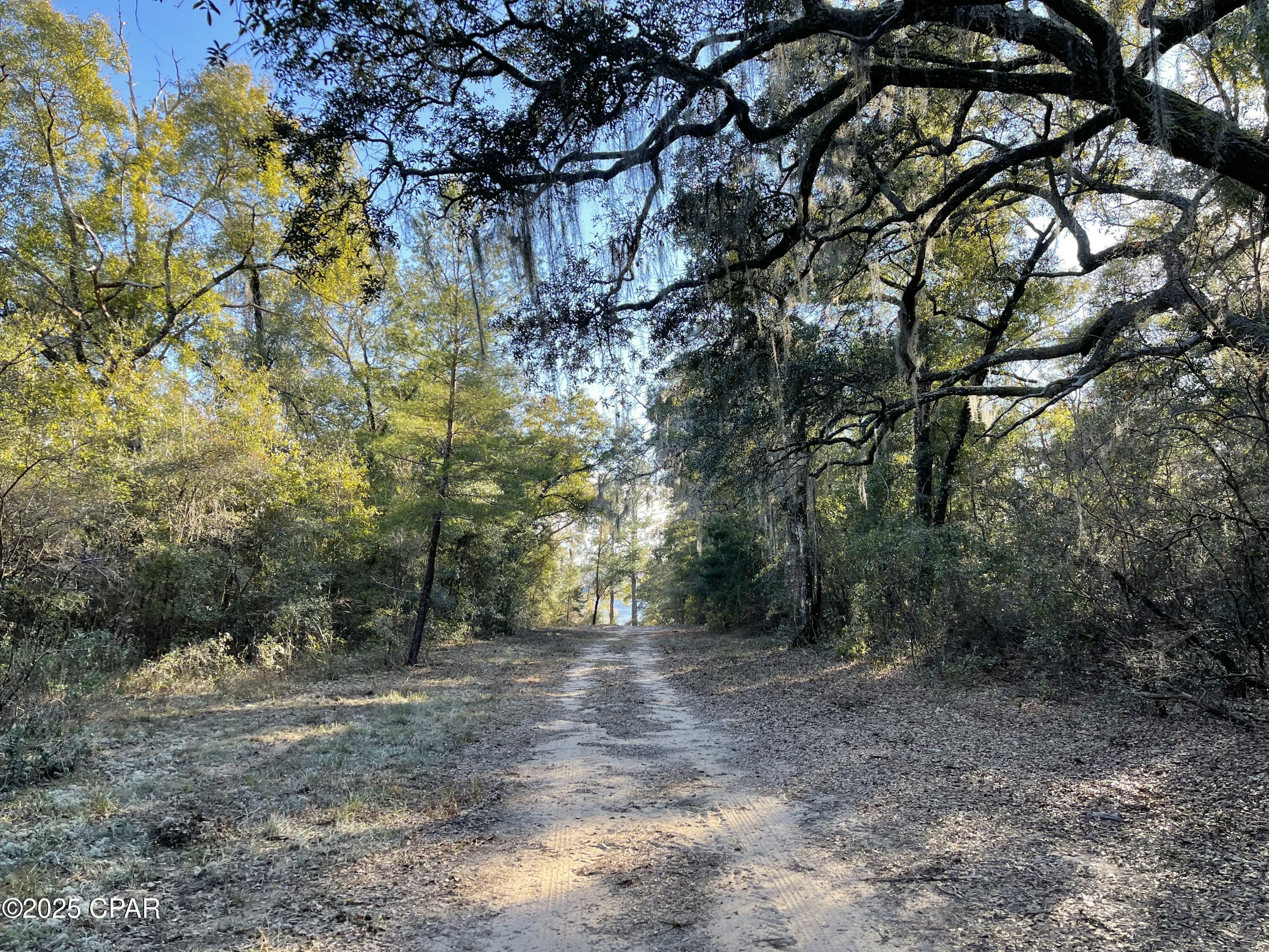 0 Bent Oaks Road Chipley, FL 32428 - Photo 20 of 21