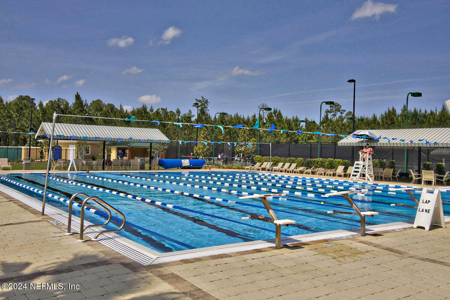798 South Lilac Loop St. Johns, FL 32259 - Photo 22 of 25 Julington Creek Lap Pool