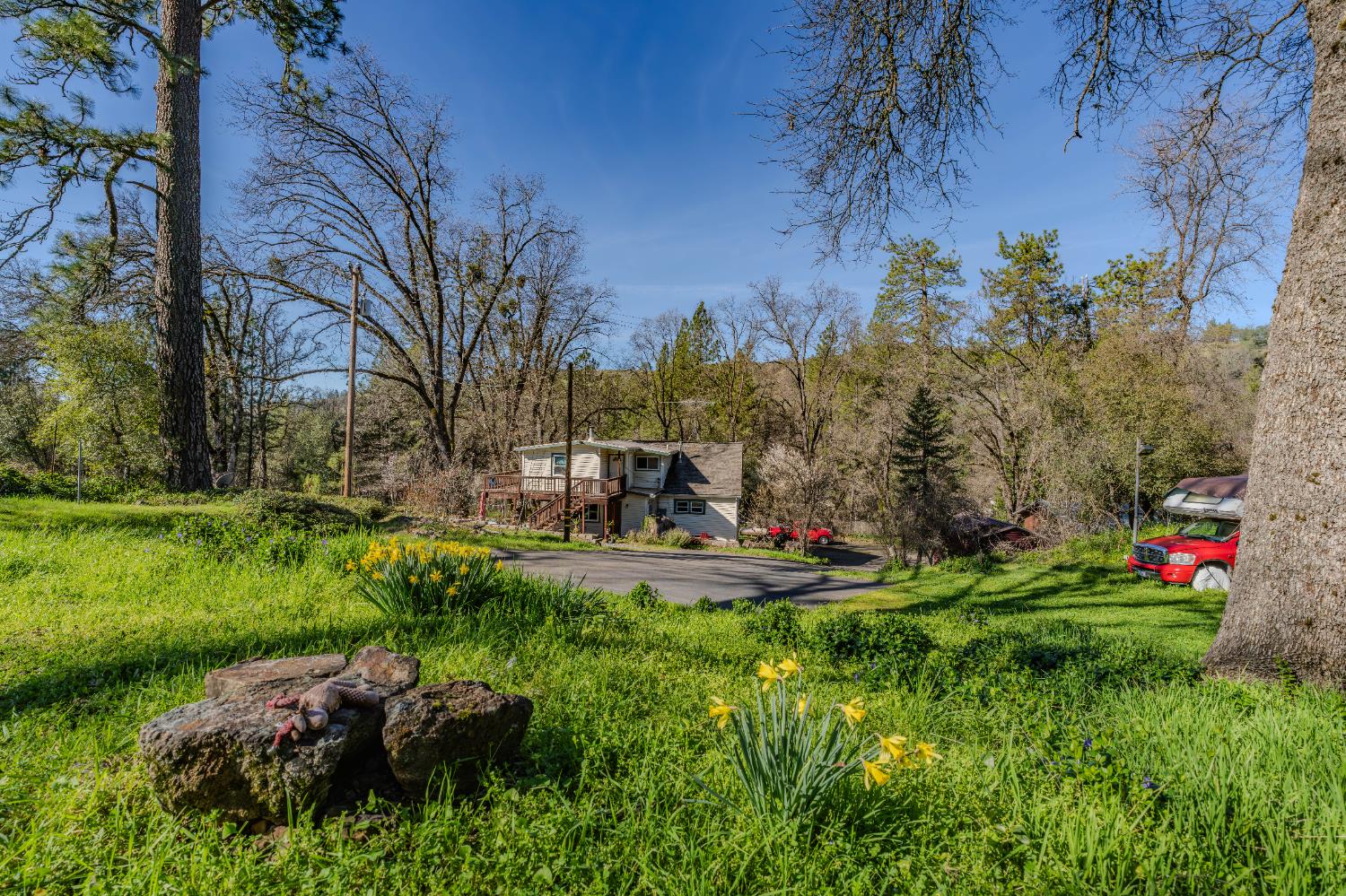 3341 Newtown Road Placerville, CA 95667 - Photo 44 of 49 a view of a backyard with plants and trees