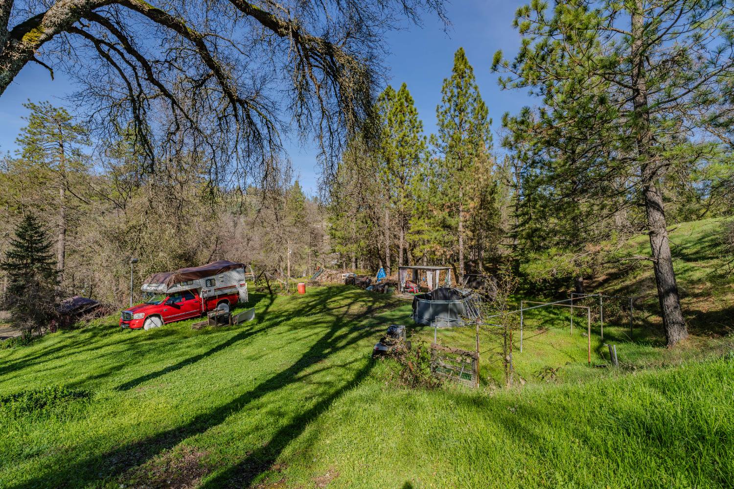3341 Newtown Road Placerville, CA 95667 - Photo 45 of 49 a lush green field with lots of trees