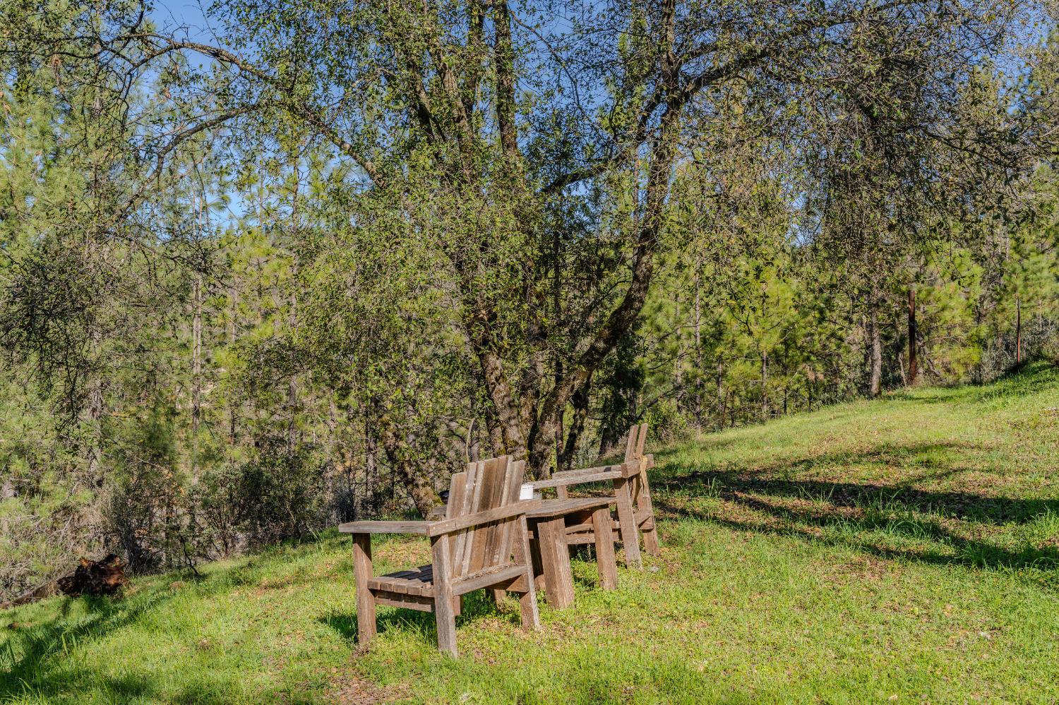 3341 Newtown Road Placerville, CA 95667 - Photo 47 of 49 a backyard of a house with yard and outdoor seating
