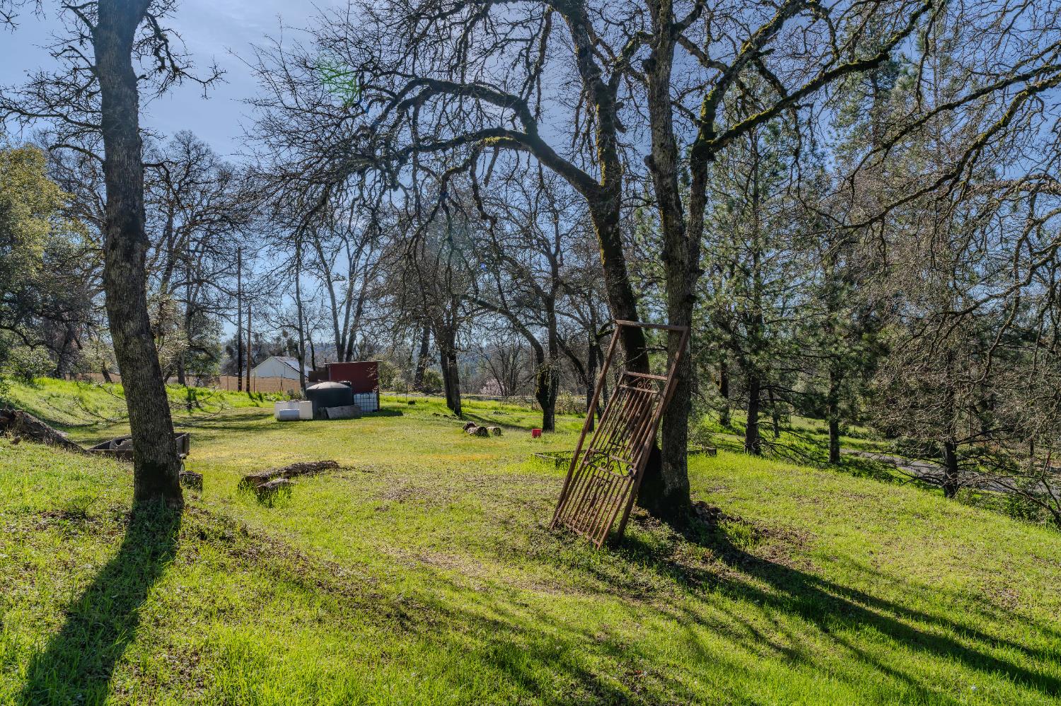 3341 Newtown Road Placerville, CA 95667 - Photo 48 of 49 a view of a yard with swimming pool