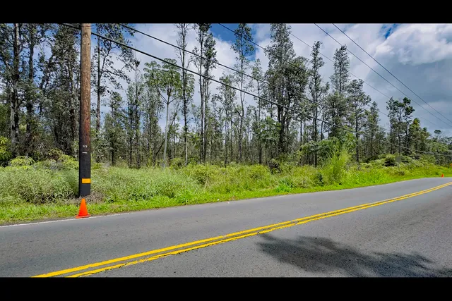 a view of a yard with potted plants