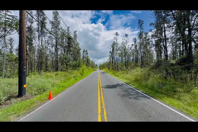 a view of a yard with potted plants