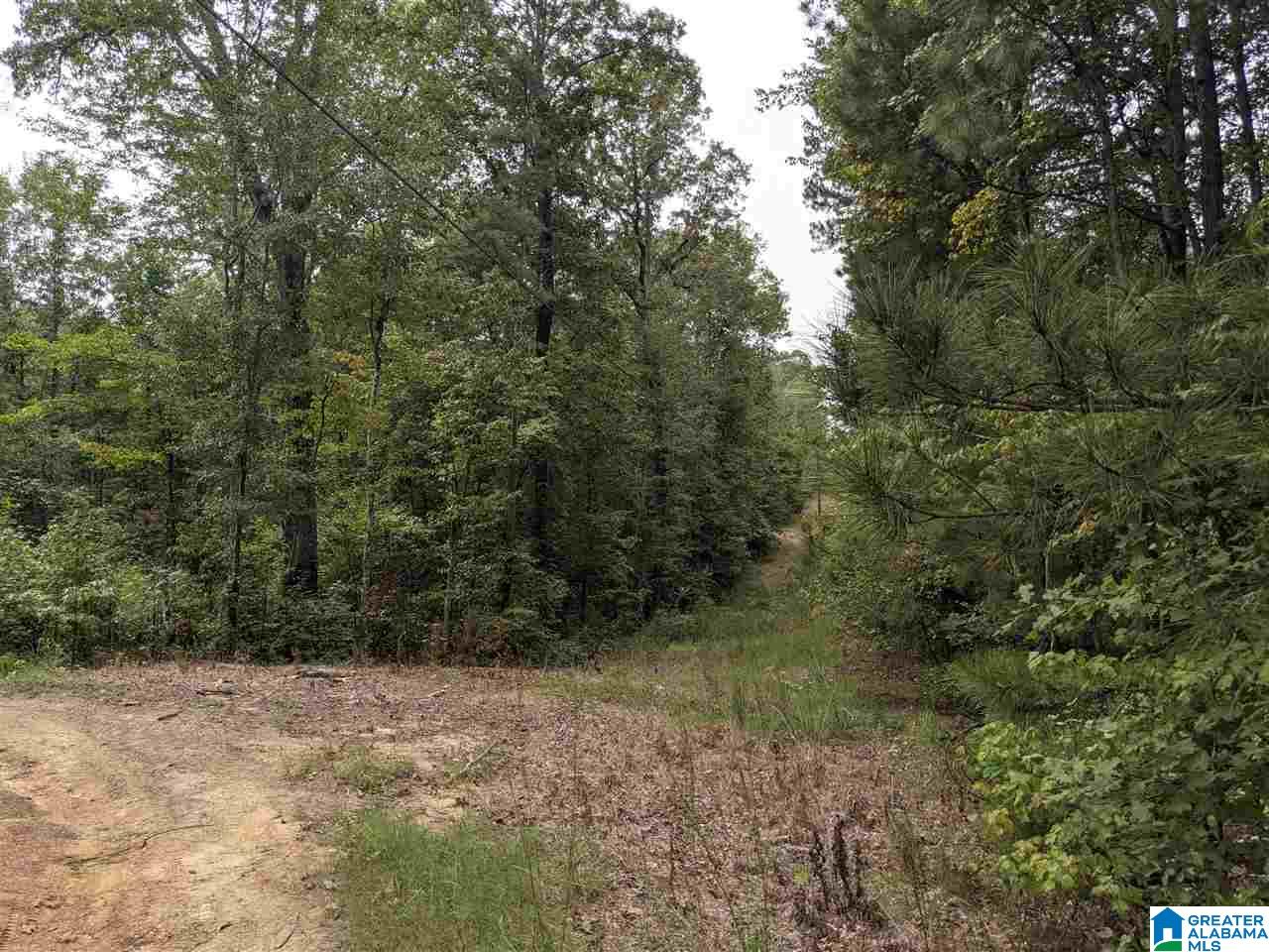 0 Smith Avenue, Unit 3 2 Anniston, AL 36207 - Photo 2 of 43