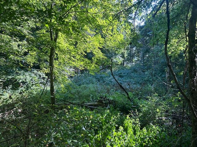 0 In-250 Vevay, IN 47043 - Photo 11 of 41