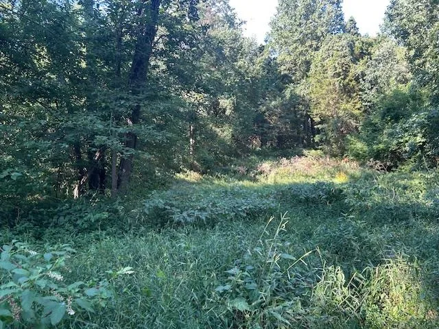 $144,900 | 0 In-250, Vevay, IN 47043