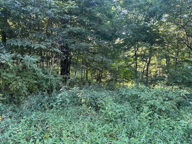 0 In-250 Vevay, IN 47043 - Photo 14 of 41