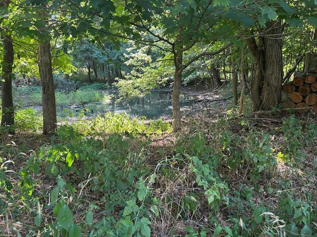 0 In-250 Vevay, IN 47043 - Photo 15 of 41