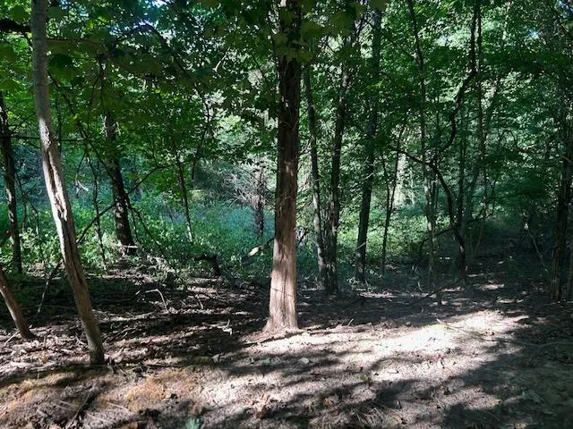 $144,900 | 0 In-250, Vevay, IN 47043