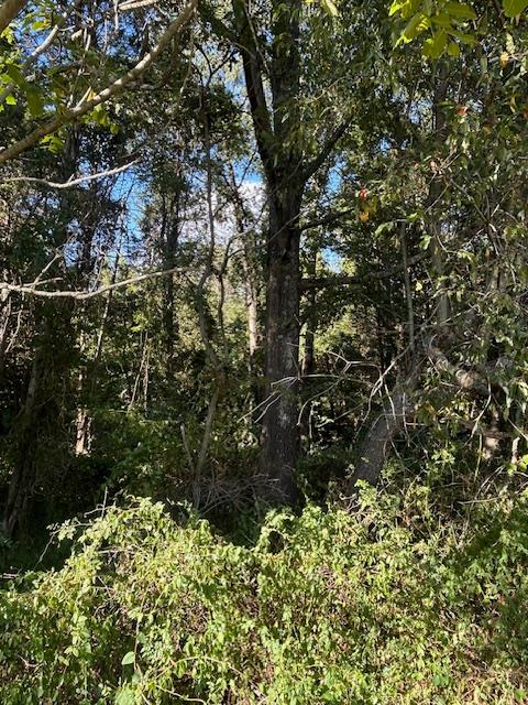 0 In-250 Vevay, IN 47043 - Photo 22 of 41