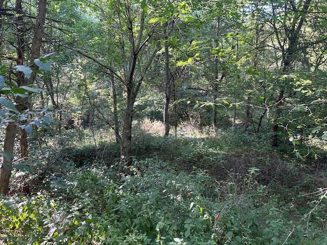 0 In-250 Vevay, IN 47043 - Photo 24 of 41