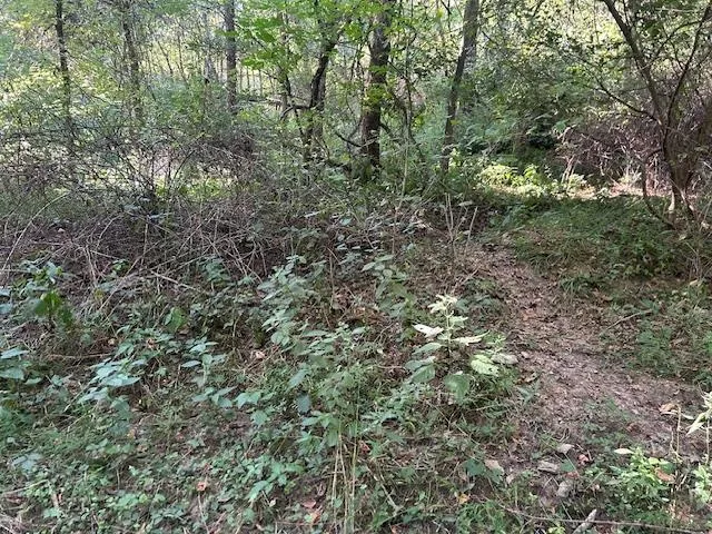 $144,900 | 0 In-250, Vevay, IN 47043