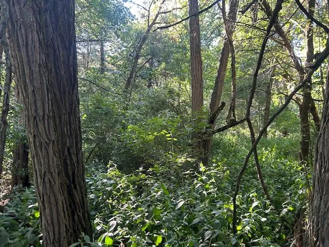 $144,900 | 0 In-250, Vevay, IN 47043