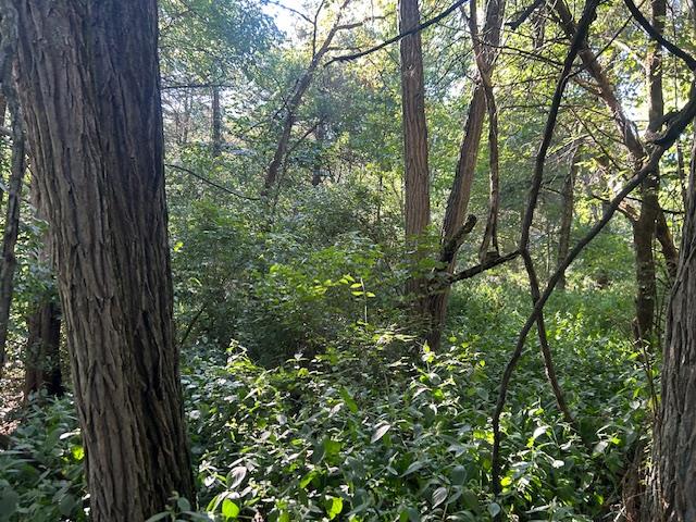 0 In-250 Vevay, IN 47043 - Photo 26 of 41