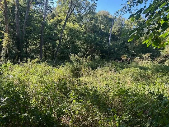 $144,900 | 0 In-250, Vevay, IN 47043