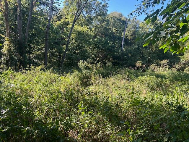 0 In-250 Vevay, IN 47043 - Photo 27 of 41