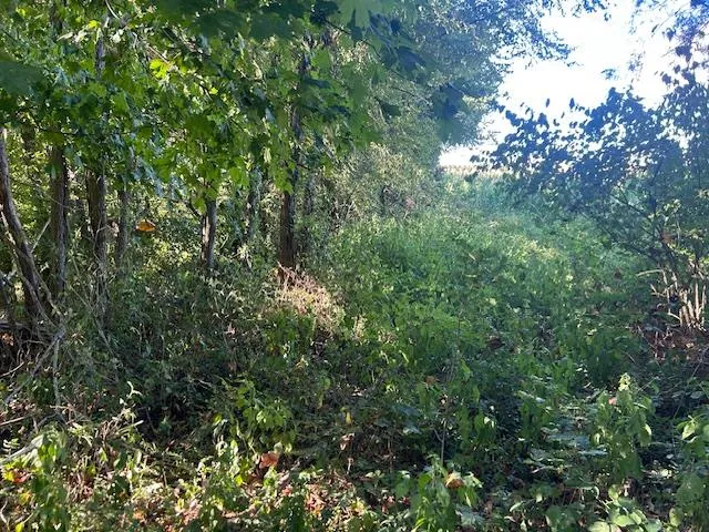 $144,900 | 0 In-250, Vevay, IN 47043