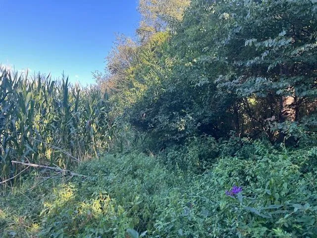 $144,900 | 0 In-250, Vevay, IN 47043