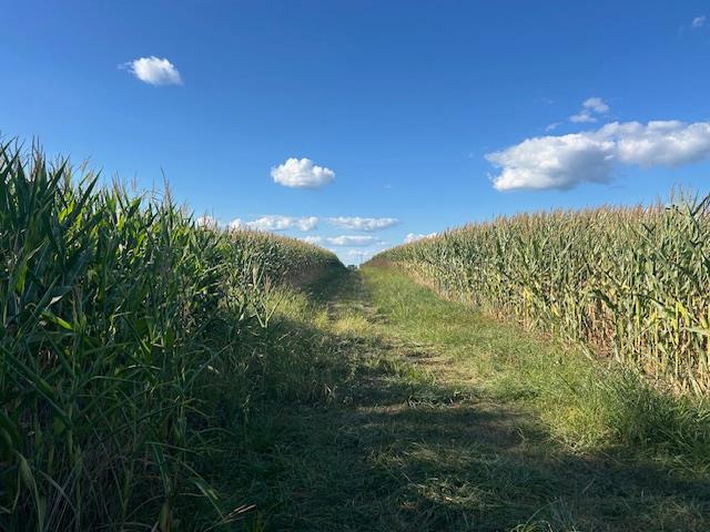 0 In-250 Vevay, IN 47043 - Photo 30 of 41