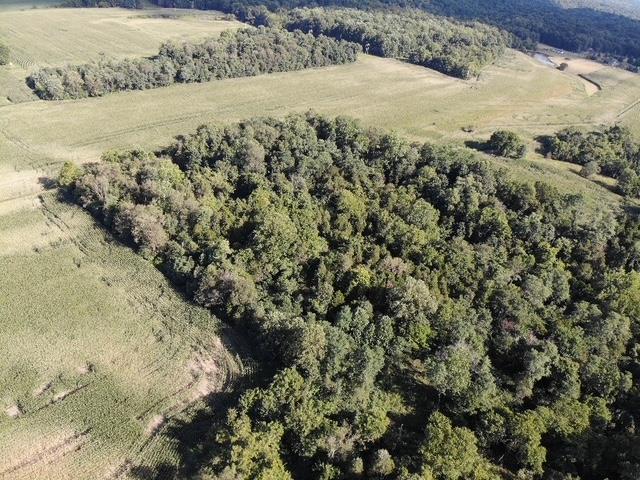 0 In-250 Vevay, IN 47043 - Photo 37 of 41