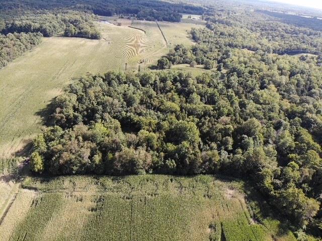 0 In-250 Vevay, IN 47043 - Photo 38 of 41