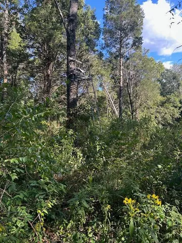 $144,900 | 0 In-250, Vevay, IN 47043